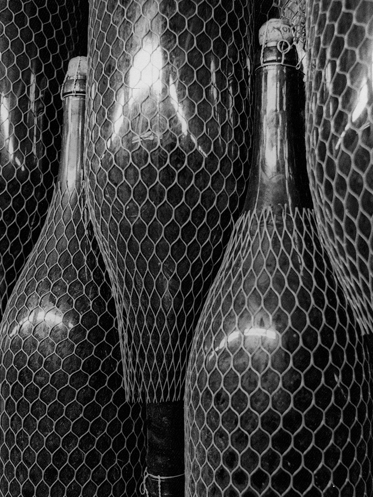 FERDINANDO SCIANNA